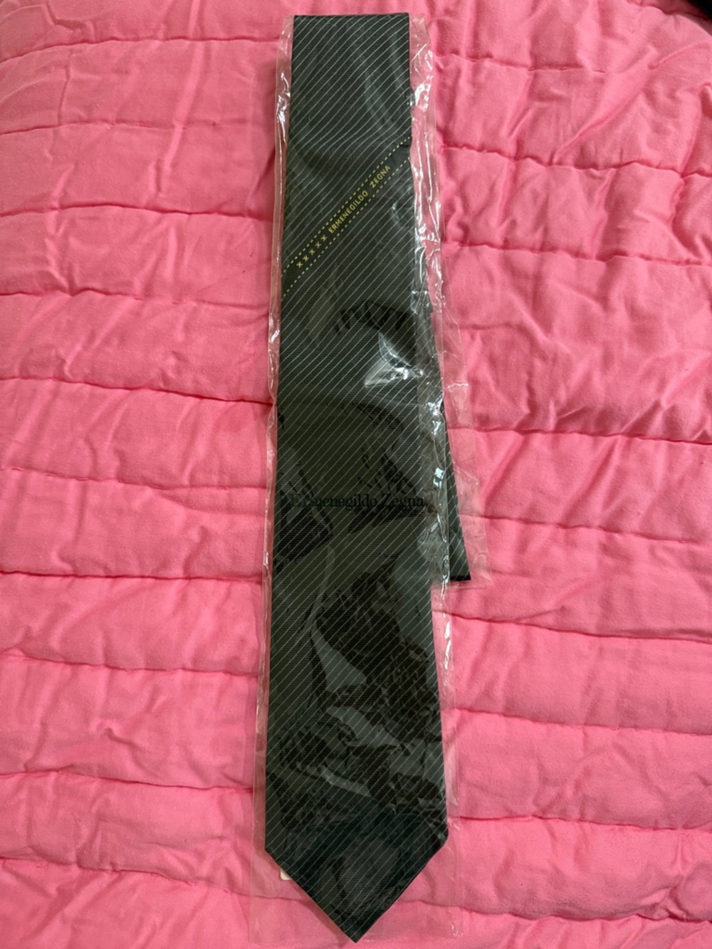 Ermenegildo Zegna Striped Tie
